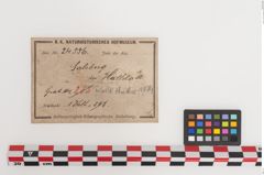 Etiketten zu Eisenschaftlappenbeil (NHMW-PRAE-024556)